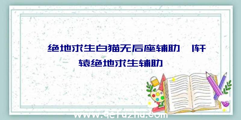 「绝地求生白猫无后座辅助」|轩辕绝地求生辅助